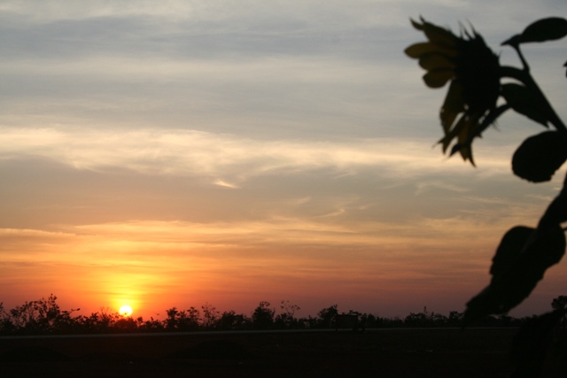 Sunset on Brazil's central plain.