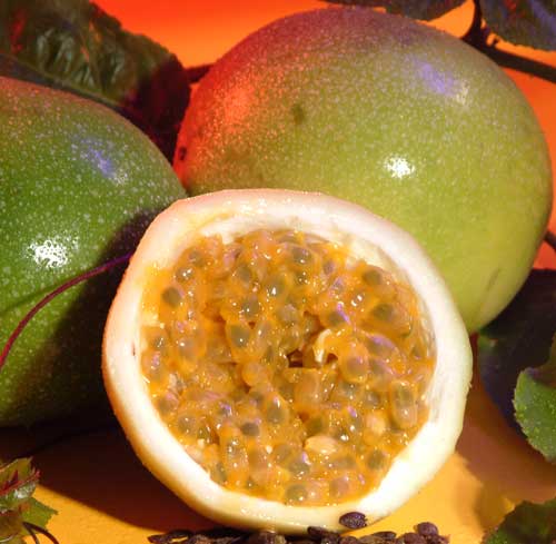 The maracuja (passion fruit)--very popular in Brazil