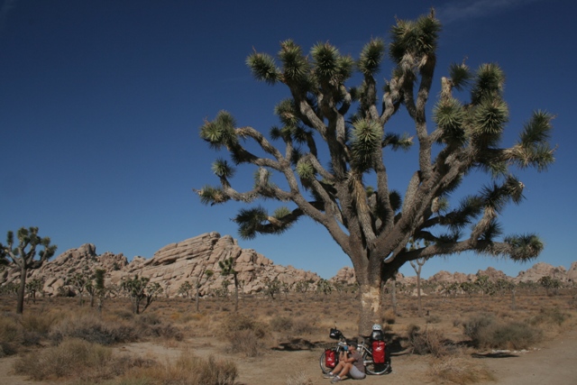 Cycling around the World update 47- Biking the Arizona Desert.