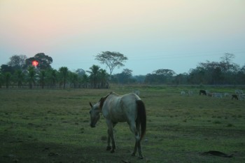 Cycling Bolivia–nothing beats the bike A last look at brazil..beautiful camping and cycling Stephen Spender “Travel is an art which has to be created by the traveler.” Total distance cycled: 83,399 kilometers (52,452 miles) Current Location: Asuncion, Paraguay Biking the Chaco embodies all that I despair of in...