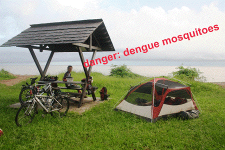 IMG_6758-dengue