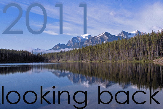 2011 in review:  looking back