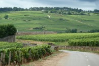 Top 5 Reasons to Cycle France Guest author Maggie LaCoste is a France aficionado. Read any further and you risk dropping everything to set off on a tour of one of the world’s most popular cycling destinations. When you think of French cycling, most of us think of Le Tour, the...