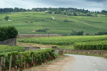 Top 5 Reasons to Cycle France Guest author Maggie LaCoste is a France aficionado. Read any further and you risk dropping everything to set off on a tour of one of the world’s most popular cycling destinations. When you think of French cycling, most of us think of Le Tour, the...