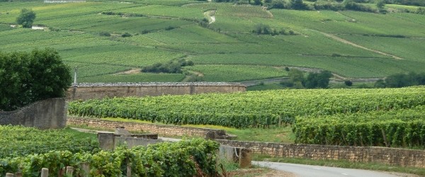 Guest author Maggie LaCoste is a France aficionado.  Read any further and you risk dropping everything to set off on a tour of one of the world’s most popular cycling destinations. When you think of French cycling, most of us think of Le Tour, the...