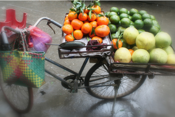 Then and Now: Vietnam Revisited Your very first visit to a Third World country leaves a big impression. It’s inevitable. A few strong images stick in your mind long after you’ve settled back into your comfortable First World existence.. Maybe it’s the “dirt poor locals” who appeared so joyful and...