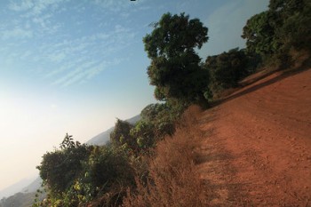Top 5 Reasons to Cycle Guinea 1)The diversity. You have everything you can wish for in Guinea. (Except deserts – but you´ll find enough sand on the dirt tracks you pedal on…I promise!). In the south you have the rainforests of the Nzérékoré region and in the center and northeast you...