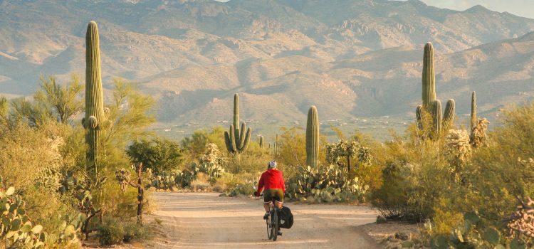 Bicycle Touring in Arizona USA