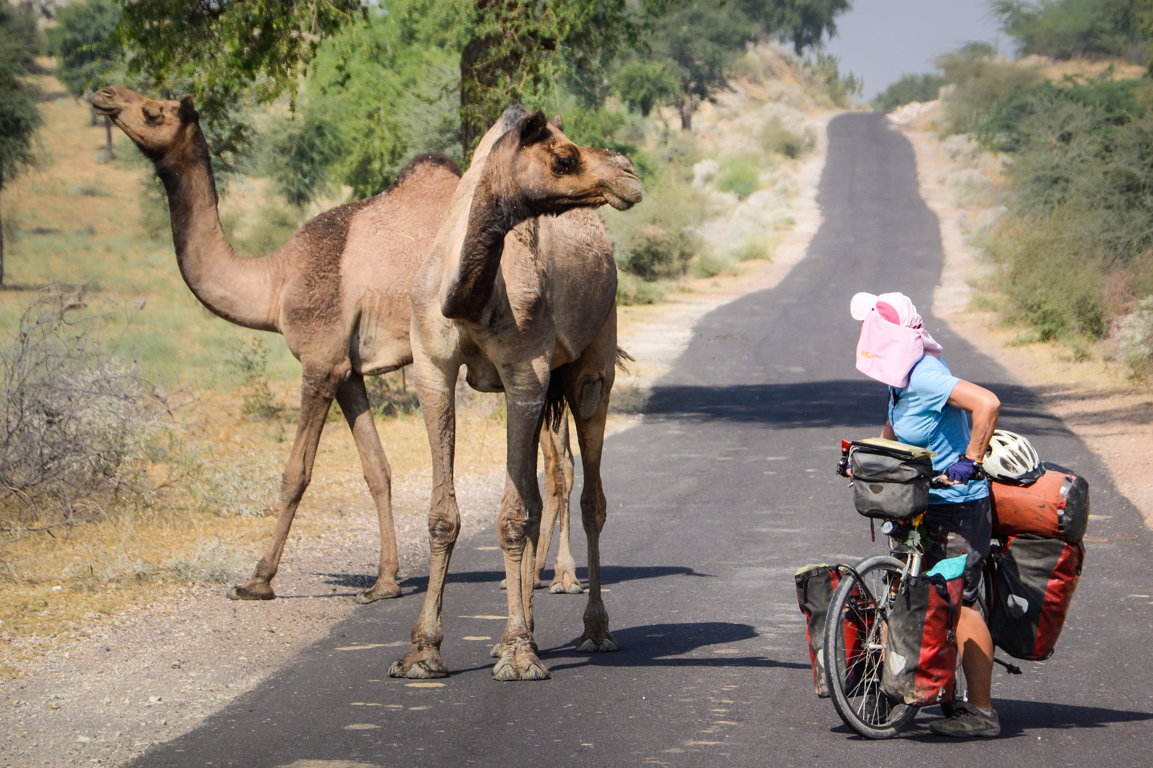 India Rajasthan Bicycle Touring