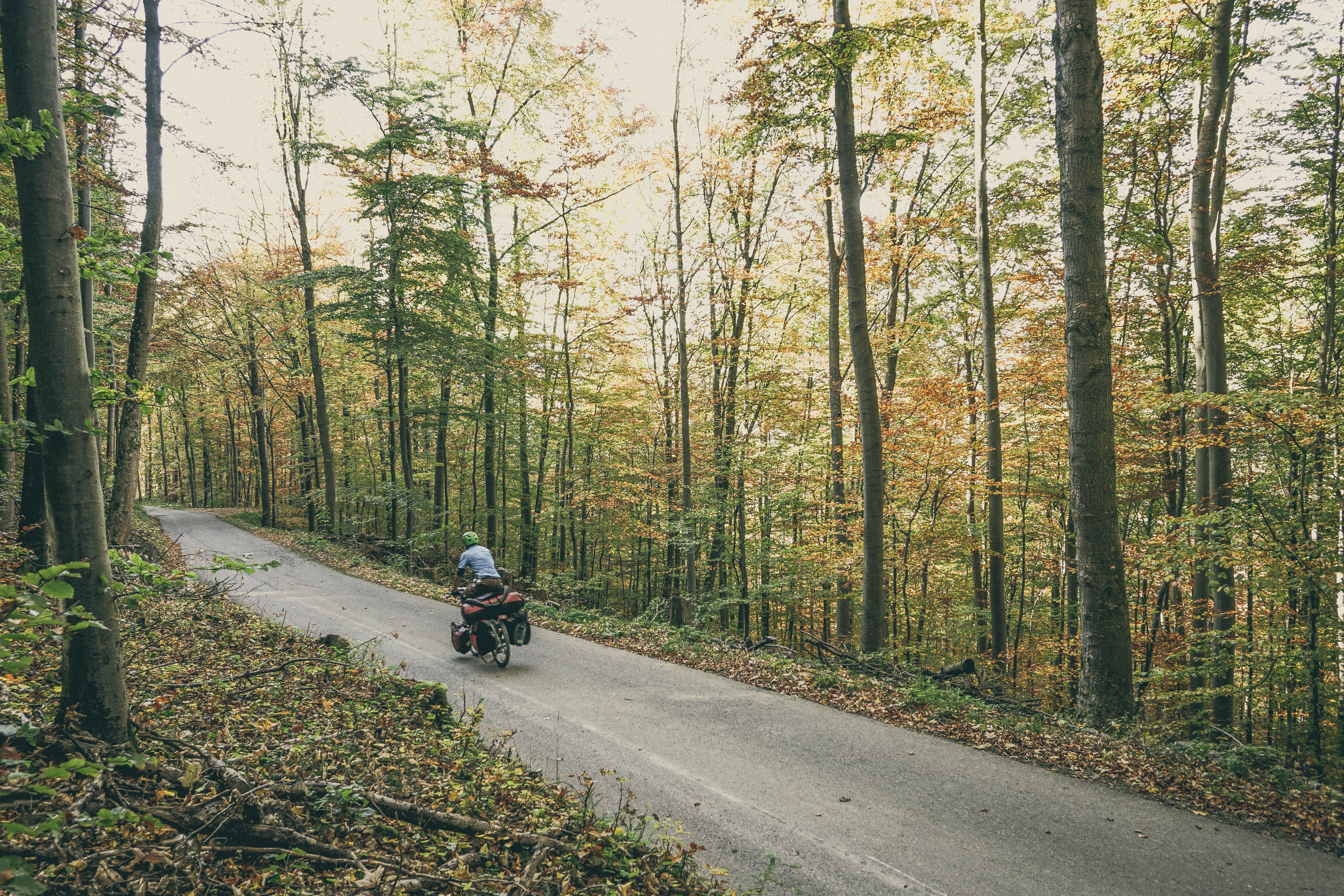 bike touring German forest