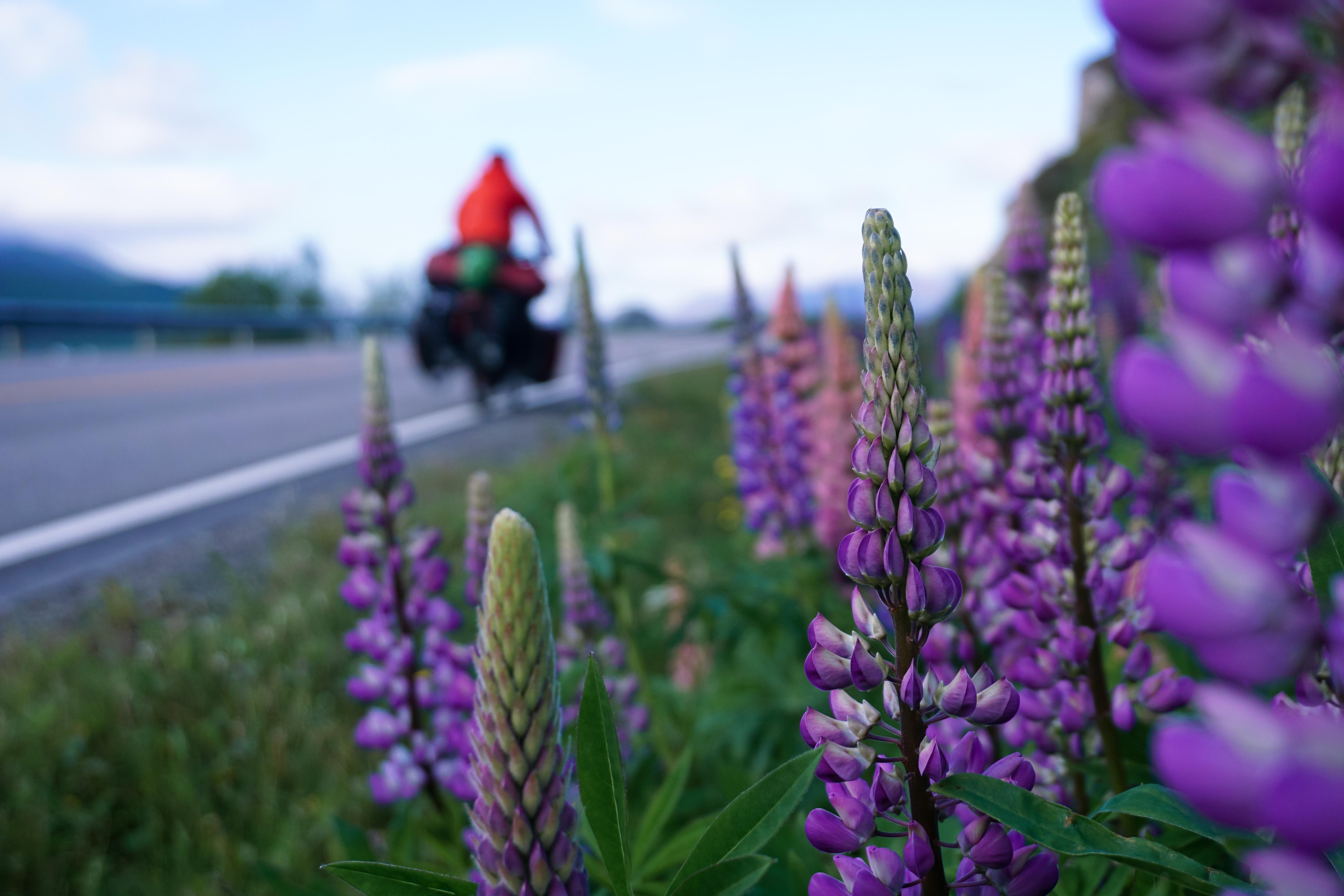 bike touring in Norway