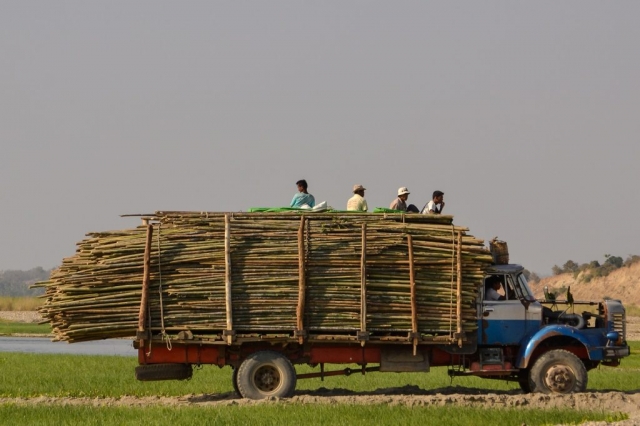 truck with bamboo