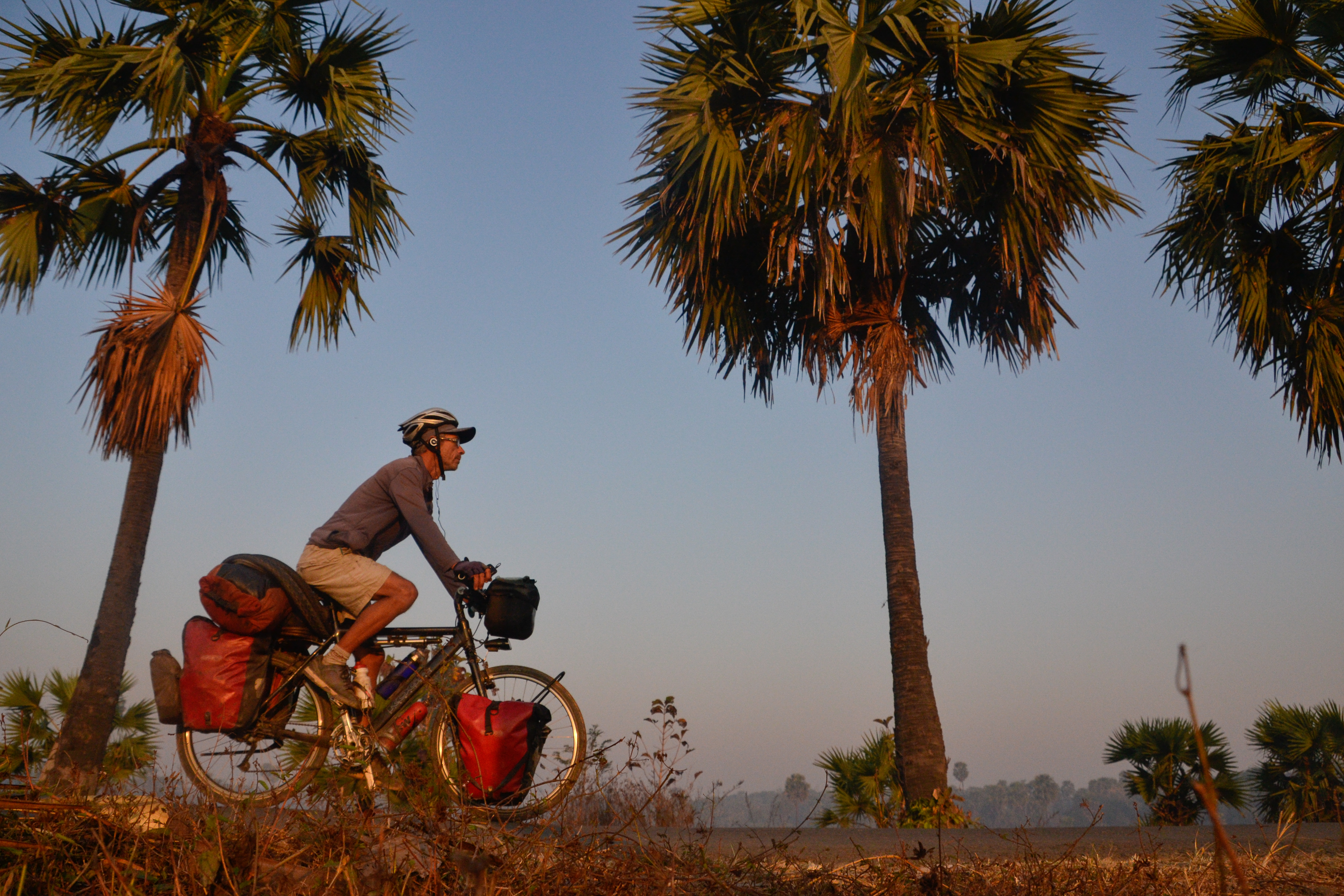 cyclist with palm trees