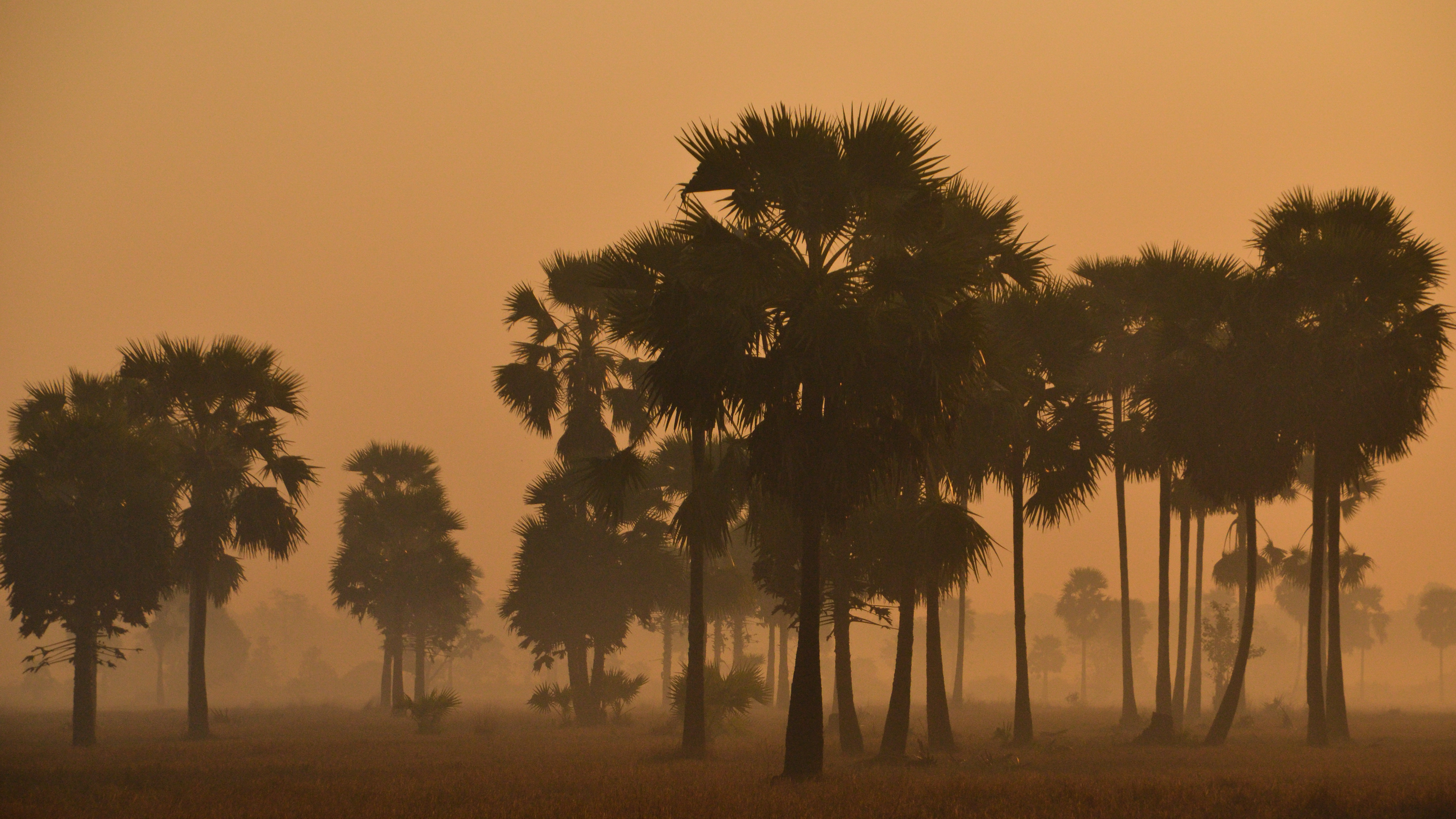 Misty Morning in Myanmar