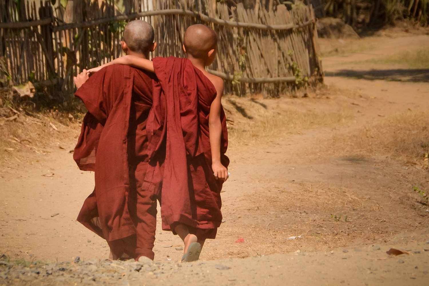 novice monks in Myanmar